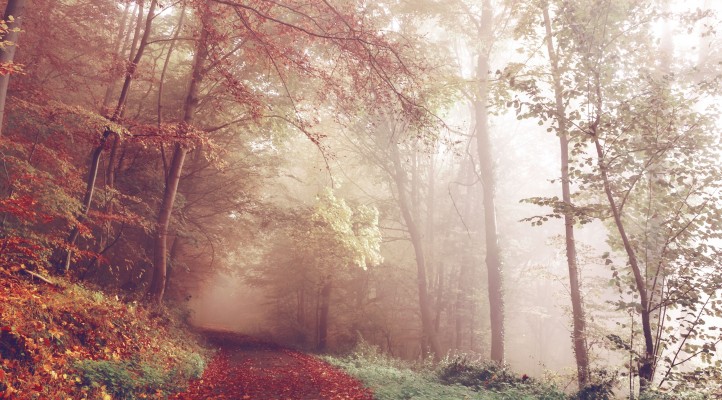 八斗金链1.0.8更新